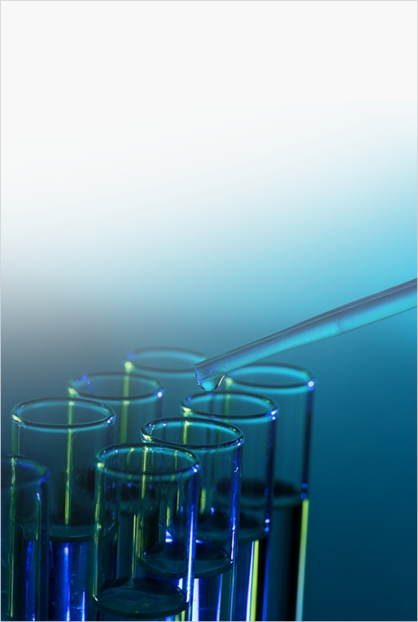 Jump to the World JW